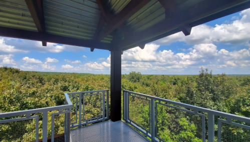 View from a lookout tower overlooking a lush green landscape under a bright blue sky with fluffy clouds.