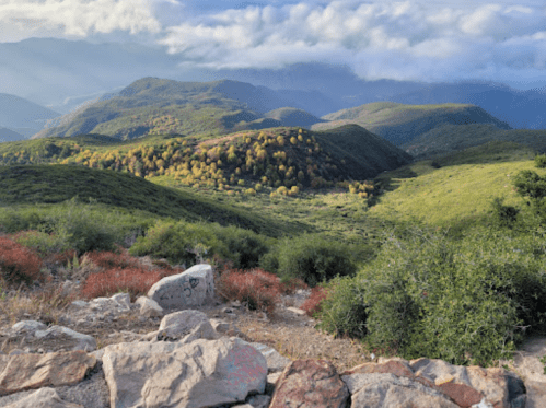 Lush green hills with scattered trees under a cloudy sky, showcasing a serene mountain landscape.