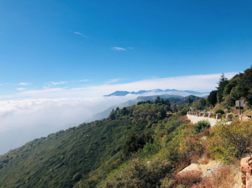 A scenic view of mountains above the clouds, with a winding road and lush greenery under a clear blue sky.