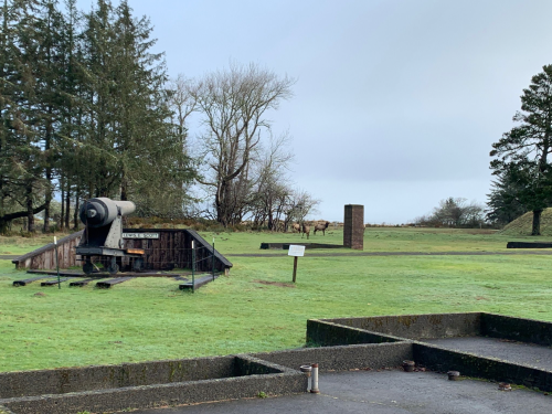 A historic cannon on a grassy area with trees in the background and a few deer grazing nearby.