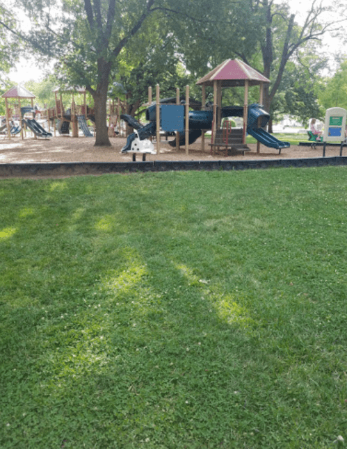 A playground with slides and climbing structures surrounded by green grass and trees on a sunny day.