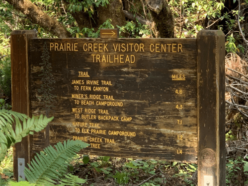 Wooden trailhead sign listing various hiking trails and their distances at Prairie Creek Visitor Center.