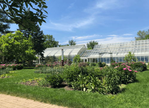 A sunny garden with vibrant flowers and two large glass greenhouses in the background.