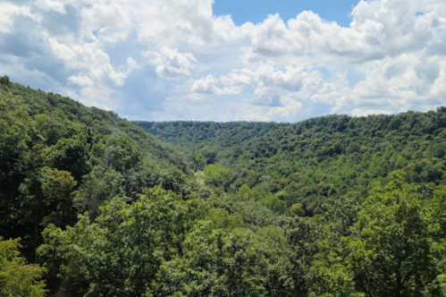 Lush green valley surrounded by hills under a bright blue sky with fluffy white clouds.