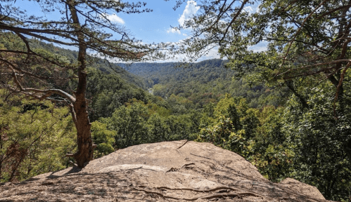 A scenic view from a rocky ledge overlooking a lush green valley and distant hills under a blue sky.