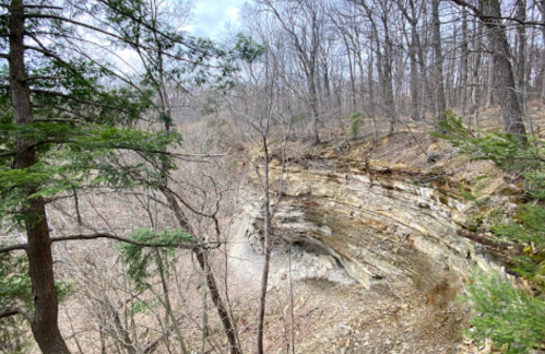 A rocky cliffside surrounded by bare trees and greenery, showcasing layered geological formations.