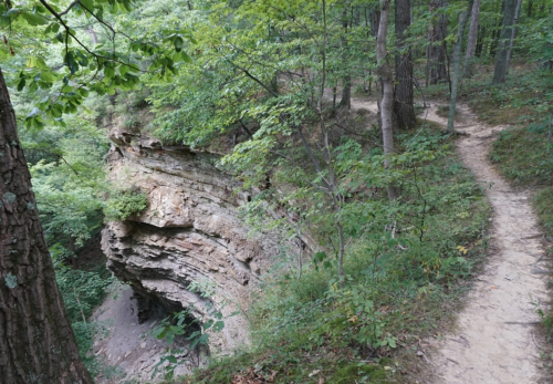 A winding trail beside a rocky cliff surrounded by lush green trees in a forested area.