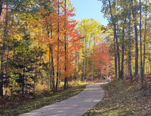 A scenic path through a forest with vibrant autumn leaves and two people walking in the distance.