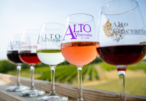 Five wine glasses filled with different wines, set against a backdrop of vineyards under a clear blue sky.