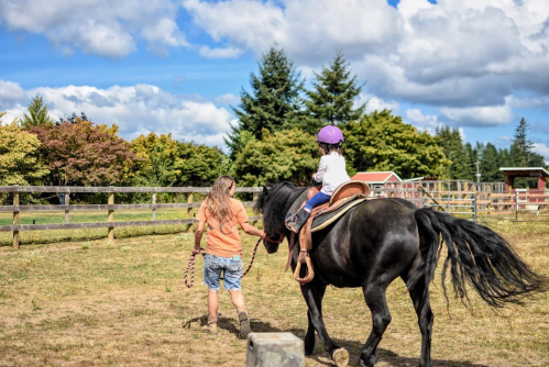 A child in a purple helmet rides a black horse, guided by an adult in an orange shirt, in a sunny outdoor setting.