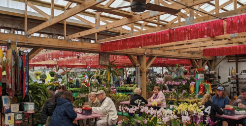 A vibrant indoor plant market with colorful decorations, people chatting, and various plants on display.