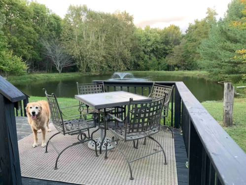 A golden dog stands near a patio table and chairs by a pond, surrounded by trees and a fountain in the background.