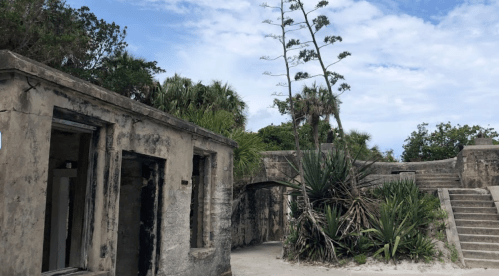 Abandoned stone structure surrounded by lush greenery and tall plants under a cloudy sky.