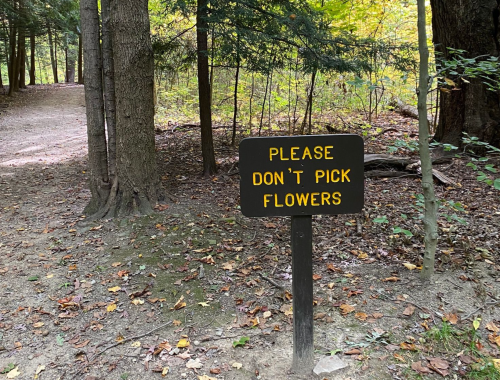 A sign in a forest reads, "Please don't pick flowers," surrounded by trees and fallen leaves on a path.