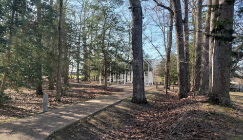 A winding path through a wooded area leads to a white building in the distance, surrounded by trees and fallen leaves.