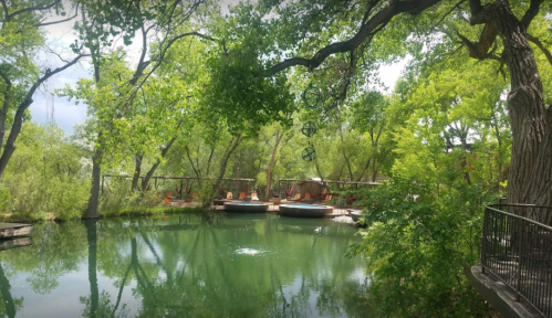 Lush green trees surround a tranquil pond with hammocks and seating areas in a serene outdoor setting.