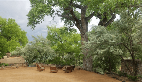 A serene outdoor space with wooden chairs around a fire pit, surrounded by lush green trees and a cloudy sky.