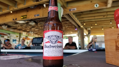 A bottle of Budweiser beer on a bar counter, with blurred patrons in the background.