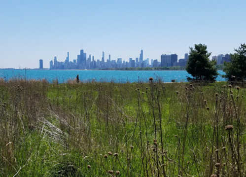 A view of a city skyline across a blue lake, with grassy foreground and clear blue sky.