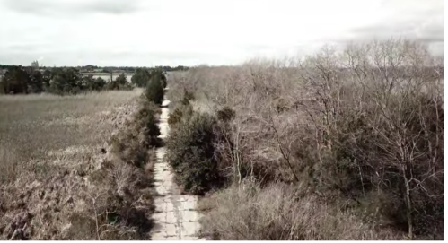 Aerial view of a deserted, overgrown road surrounded by sparse trees and fields under a cloudy sky.