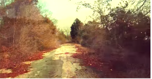 A deserted, overgrown path lined with trees and fallen leaves, bathed in warm, golden light.