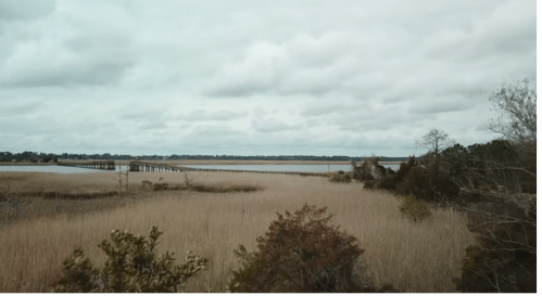 A serene landscape featuring a marsh with tall grasses, a distant pier, and overcast skies.