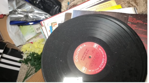 A close-up of a vinyl record labeled "Columbia," surrounded by stacks of albums and some flowers.