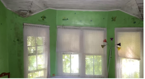 A room with green walls, three windows covered with sheer curtains, and a colorful lamp in the corner.