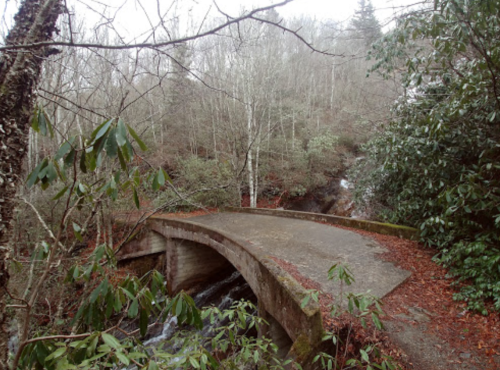 A concrete bridge over a small stream, surrounded by bare trees and lush greenery in a tranquil forest setting.