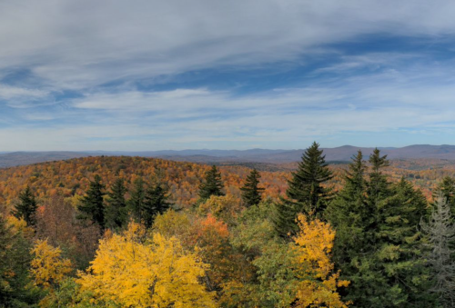A panoramic view of vibrant autumn foliage with rolling hills and a cloudy sky in the background.