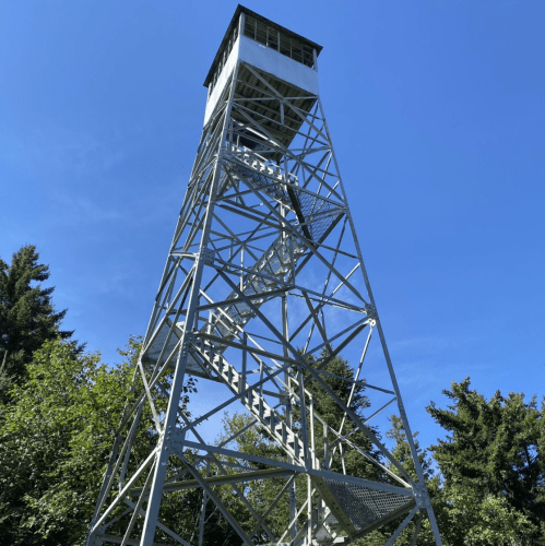 A tall metal fire lookout tower surrounded by trees under a clear blue sky.