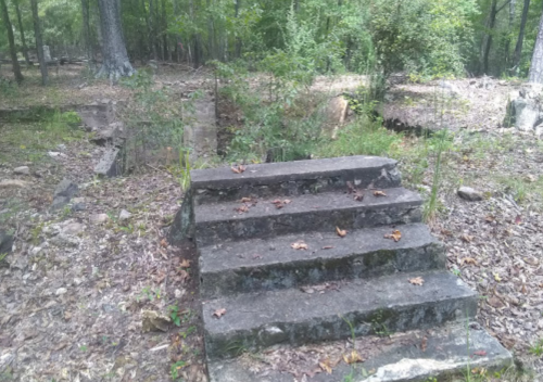 Stone steps lead into a wooded area, surrounded by overgrown vegetation and fallen leaves.