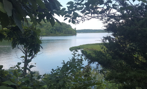 A serene lake view framed by lush green foliage and trees, reflecting the sky and surrounding landscape.