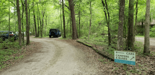 A gravel road winding through a green forest, with signs for cars, campers, and buses visible.
