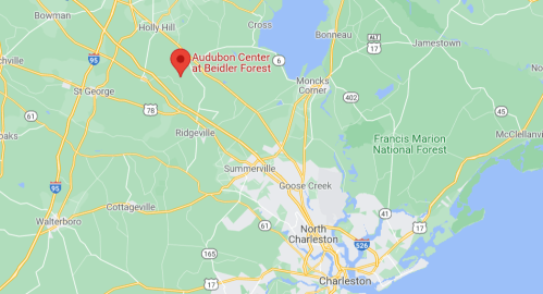 Map showing the location of the Audubon Center at Beidler Forest near Charleston, South Carolina.