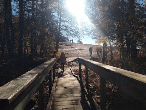 A wooden bridge leads to a sunlit path through trees, with people walking in the distance on a fall day.