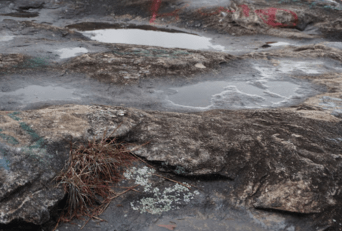 Rocky surface with puddles and patches of grass, featuring some colorful graffiti markings.