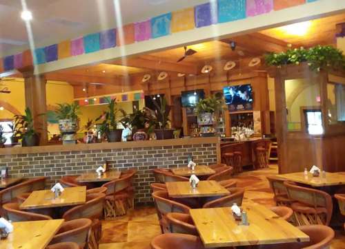 Cozy restaurant interior with wooden tables, chairs, and vibrant decor, featuring plants and a bar area in the background.