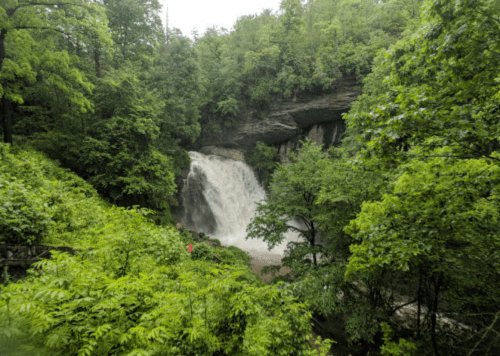 A serene waterfall cascades through lush green trees and foliage in a tranquil natural setting.