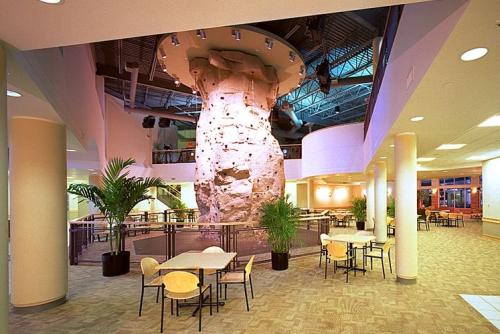 Indoor climbing wall in a spacious, modern atrium with tables and plants, featuring soft lighting and a high ceiling.