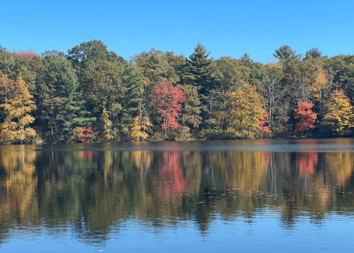 A serene lake reflecting vibrant autumn trees in shades of red, orange, and yellow under a clear blue sky.