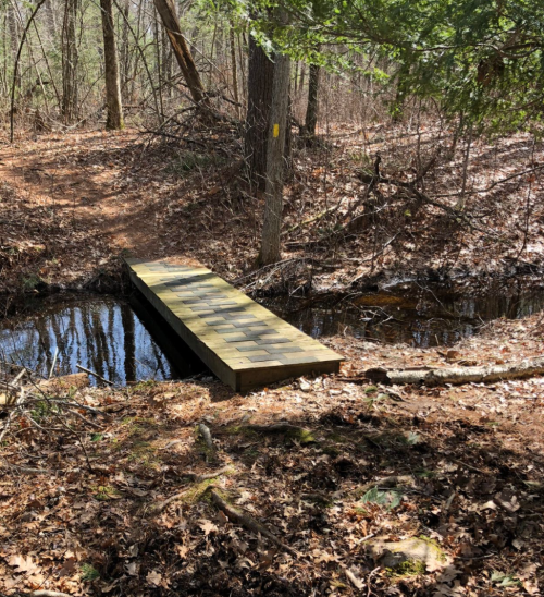 A wooden bridge over a small stream, surrounded by trees and fallen leaves in a forested area.