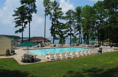 A serene pool area surrounded by tall trees, with lounge chairs and a view of a lake in the background.