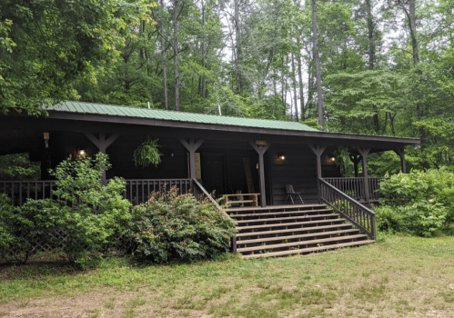 A rustic cabin with a green metal roof, surrounded by trees and greenery, featuring a porch and steps leading up.