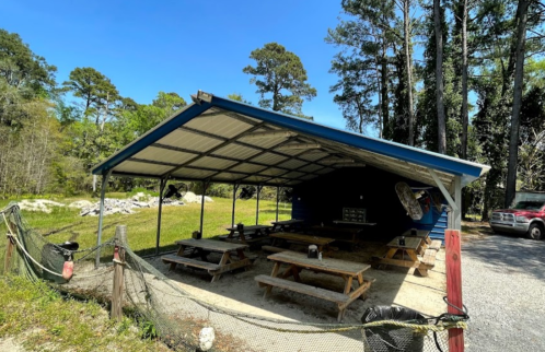A covered outdoor picnic area with wooden tables, surrounded by trees and a gravel path. Clear blue sky above.