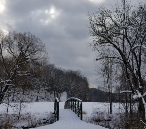 A snow-covered bridge leads into a winter landscape with bare trees and a cloudy sky.