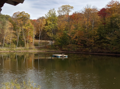 A serene pond surrounded by autumn trees with colorful leaves, featuring a small dock in the water.
