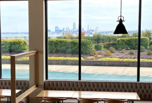 View of a city skyline through large windows, with greenery and seating in the foreground.