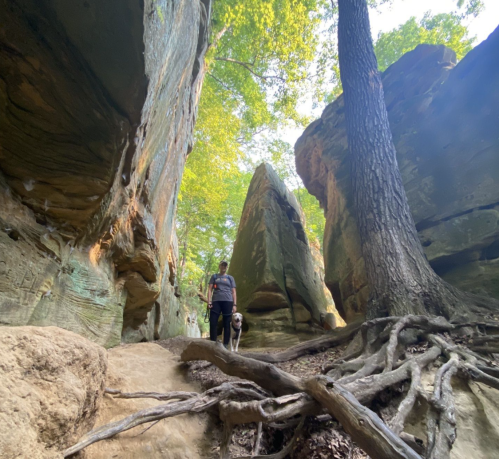 A person and a dog walk through a narrow canyon surrounded by tall rock formations and lush green trees.