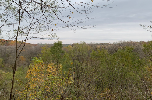 A scenic view of a forested landscape with autumn foliage under a cloudy sky.